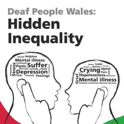 Hidden Inequality Report